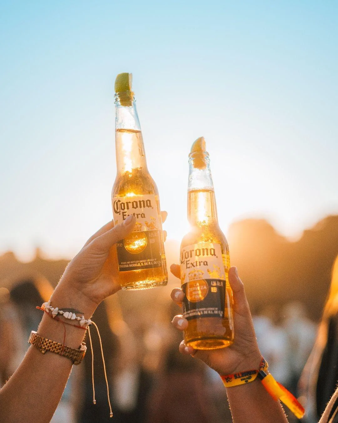 Brindis con botellas en un encuentro al aire libre